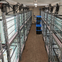 Seaweed Nursery