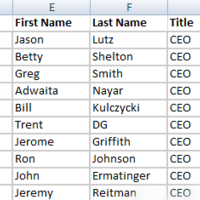CEO details collection