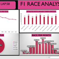 F1 RACE ANALYSIS