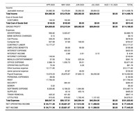 Profit &Loss Statement