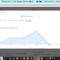 GOOGLE BUSINESS PROFILE ANALYTICS