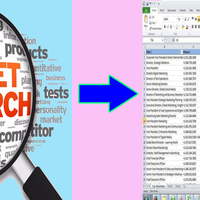 WEB RESEARCH DATA ENTRY