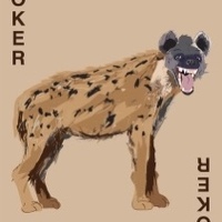 Playing Card Illustration
