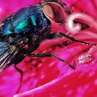 Portfolio Thumbnail 11