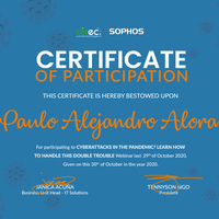 Webinar Cyber Attacks in Pandemic