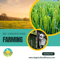 Portfolio Thumbnail 5