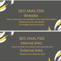 SEO Analysis