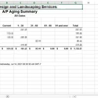 AP aging Summary