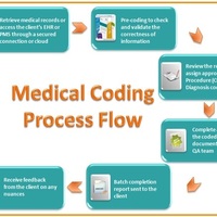 An Overview of Medical Coding project