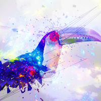 Portfolio Thumbnail 7