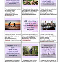 Portfolio Thumbnail 12