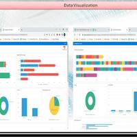 Hospital Dashboard (Apex)