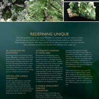 Portfolio Thumbnail 29