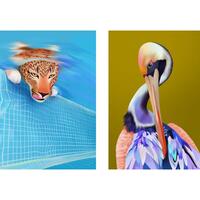 Portfolio Thumbnail 38