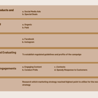 Social Media Management and Marketing Plan