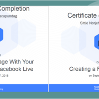 Facebook Blue + 28 more Certificates