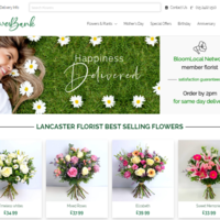 Web design1