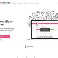 Promo-Promo Website Design and Development work