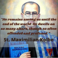 Portfolio Thumbnail 10