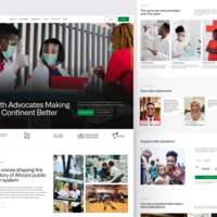 Full website of AfricaPHSN