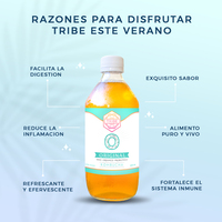 Portfolio Thumbnail 0