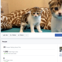 Facebook Page