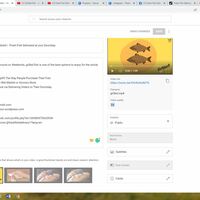 YouTube Video Details
