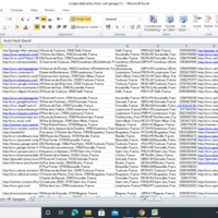 Google map Scraping(2)