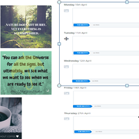 Social Media Management 