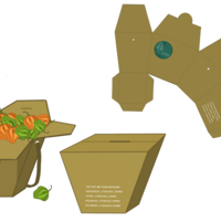 Packaging concept