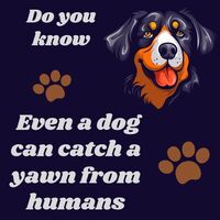 A simple Canva design for social media page