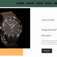 Ecommerce