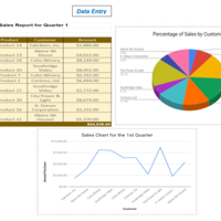 Data Entry