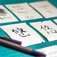 Portfolio Thumbnail 3