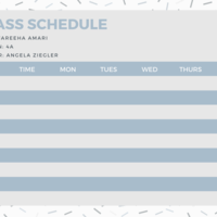 Class Schedule