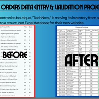 customer orders data entry and validation project