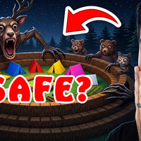 Portfolio Thumbnail 5