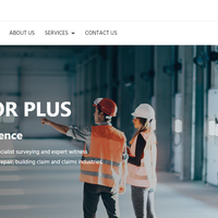 Surveyor Plus - Website Design and Development