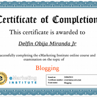 Blogging Certificate