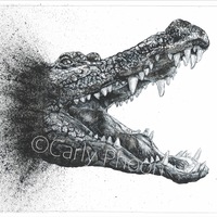 Freehand - ink and gel pen