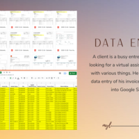 Data Entry