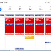 Client's Schedule on Google Calendar