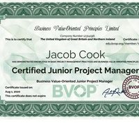 Junior project manager 