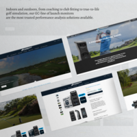 Shopify website development
