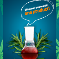 Portfolio Thumbnail 10