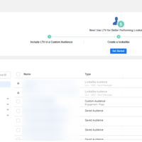 Audience Targeting and Setup: eCommerce Client