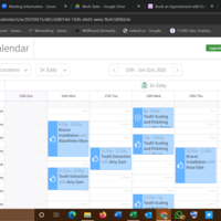 A Team Membes Schedule calendar on Picktime