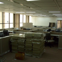 Supervision of office preparation and network cabling