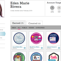 Credly Learning Badges