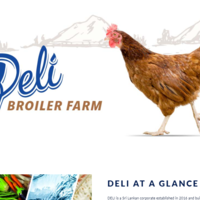https://deligroup.lk/